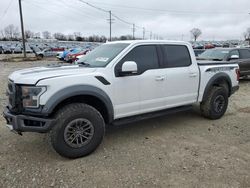 Salvage cars for sale from Copart Lawrenceburg, KY: 2019 Ford F150 Raptor