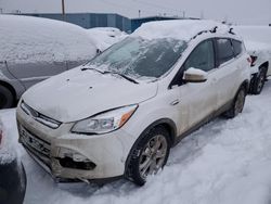 Ford Escape salvage cars for sale: 2016 Ford Escape SE