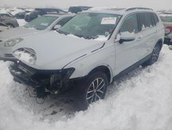 Salvage cars for sale from Copart Elgin, IL: 2019 Volkswagen Tiguan SE