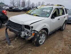 Ford Escape XLS salvage cars for sale: 2009 Ford Escape XLS