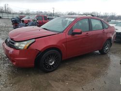 2011 Ford Focus SES for sale in Louisville, KY