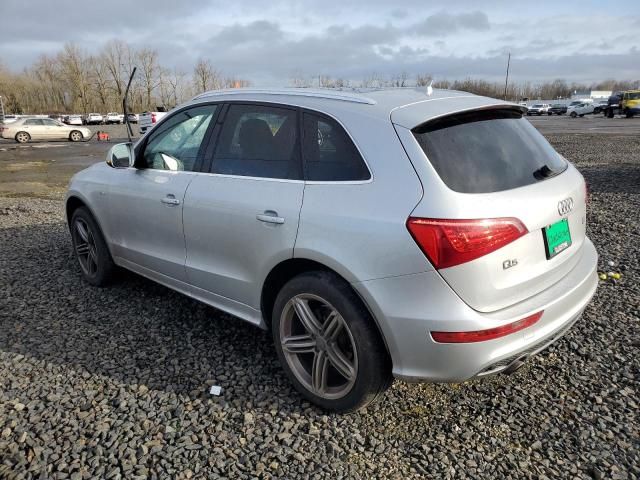 2010 Audi Q5 Premium Plus