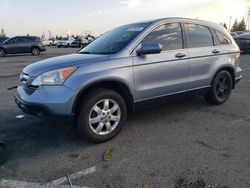 2009 Honda CR-V EXL for sale in Rancho Cucamonga, CA