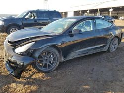 2023 Tesla Model 3 for sale in Phoenix, AZ