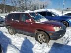 2007 Hyundai Santa FE GLS