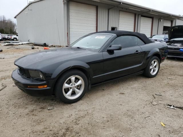 2005 Ford Mustang