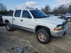 2002 Dodge Dakota Quad SLT