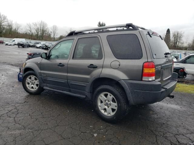 2002 Ford Escape XLT