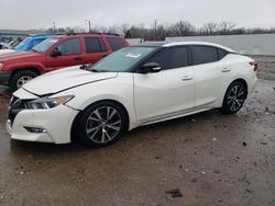 2017 Nissan Maxima 3.5S en venta en Louisville, KY