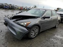 Honda salvage cars for sale: 2011 Honda Accord EXL