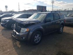 2011 Ford Escape XLT for sale in Chicago Heights, IL