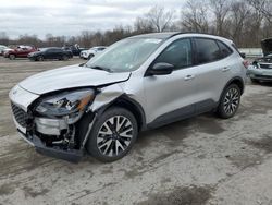 Salvage cars for sale from Copart Ellwood City, PA: 2020 Ford Escape SE Sport