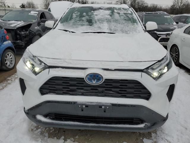 2023 Toyota Rav4 XLE