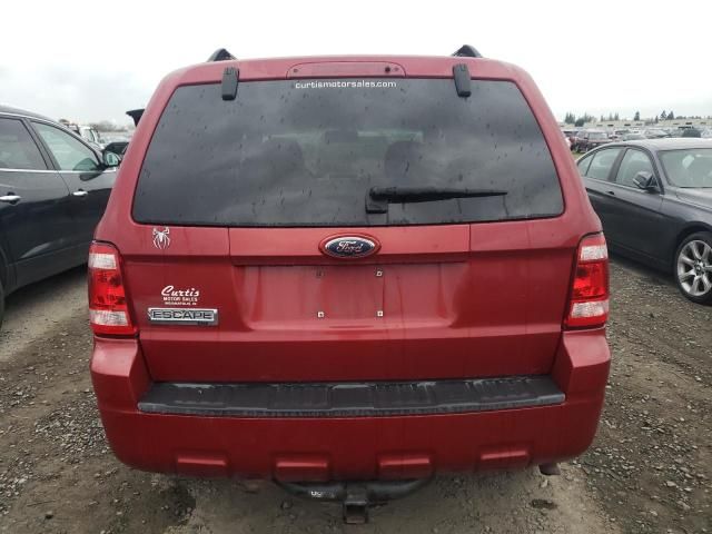 2009 Ford Escape XLT