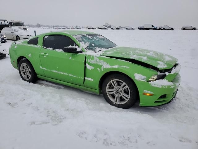 2013 Ford Mustang