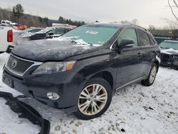 2010 Lexus RX 450 for sale in Candia, NH