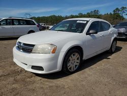 Dodge Avenger salvage cars for sale: 2013 Dodge Avenger SE