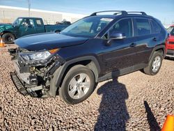Vehiculos salvage en venta de Copart Phoenix, AZ: 2020 Toyota Rav4 XLE