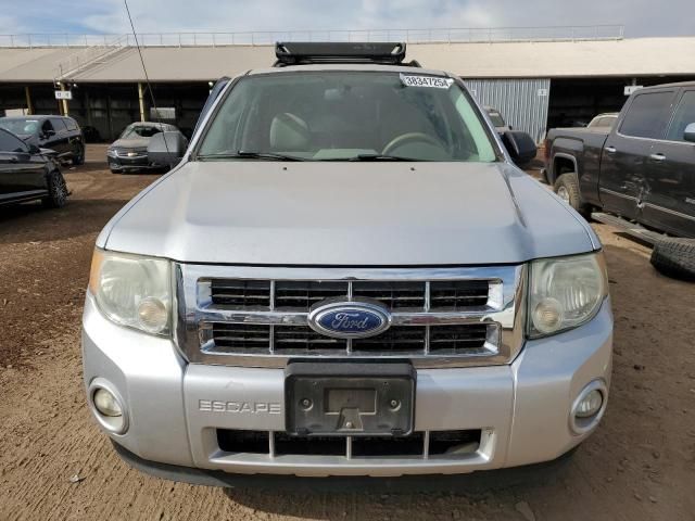 2011 Ford Escape XLT