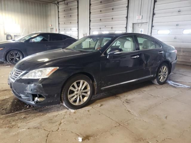 2011 Lexus ES 350