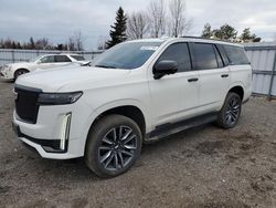 Cadillac salvage cars for sale: 2021 Cadillac Escalade Sport