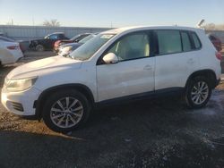 Volkswagen Tiguan s salvage cars for sale: 2017 Volkswagen Tiguan S