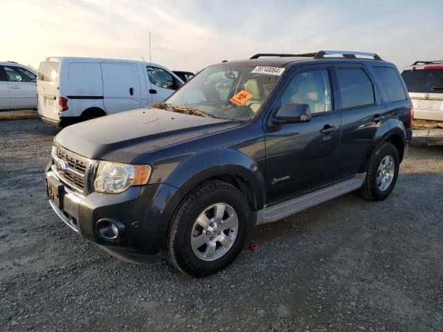 2010 Ford Escape Hybrid