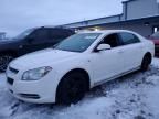 2008 Chevrolet Malibu 1LT