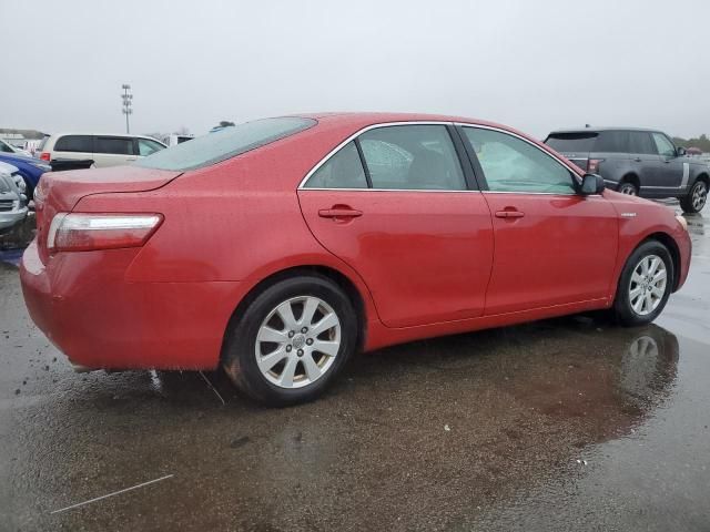 2009 Toyota Camry Hybrid