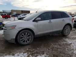 Ford Edge sel salvage cars for sale: 2011 Ford Edge SEL