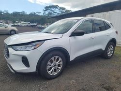 Salvage cars for sale from Copart Kapolei, HI: 2023 Ford Escape Active