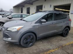 2014 Ford Escape SE en venta en Dyer, IN