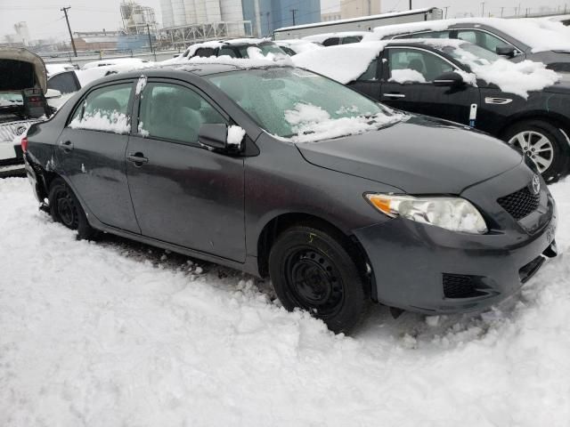 2010 Toyota Corolla Base