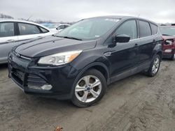 2015 Ford Escape SE for sale in Cahokia Heights, IL