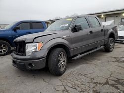 2014 Ford F150 Supercrew en venta en Louisville, KY