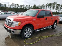 Vehiculos salvage en venta de Copart Harleyville, SC: 2013 Ford F150 Supercrew