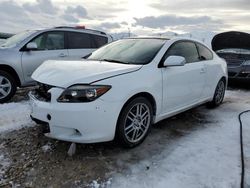 Salvage cars for sale from Copart Magna, UT: 2006 Scion TC