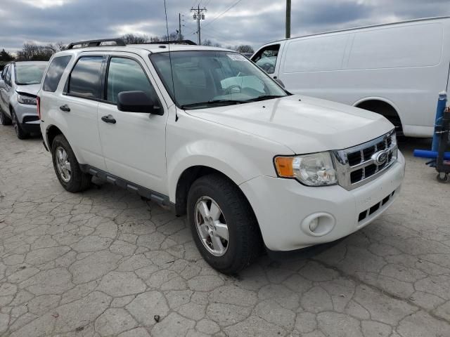 2011 Ford Escape XLT