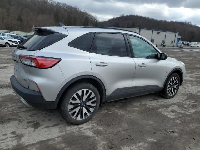 2020 Ford Escape SE Sport