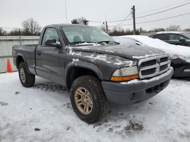 2004 Dodge Dakota SXT