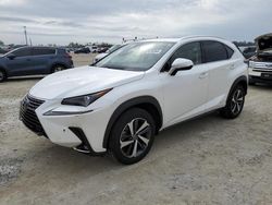 2020 Lexus NX 300H en venta en Arcadia, FL