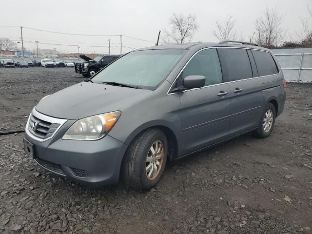 2008 Honda Odyssey EXL