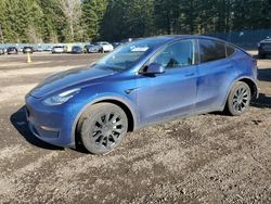 Tesla Model y Vehiculos salvage en venta: 2020 Tesla Model Y