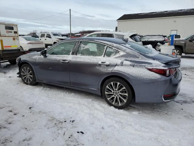 2020 Lexus ES 300H