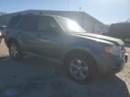 2010 Ford Escape Limited