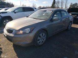 Honda salvage cars for sale: 2010 Honda Accord EXL