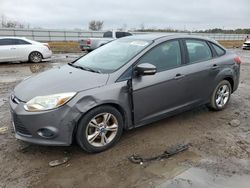 Ford salvage cars for sale: 2013 Ford Focus SE