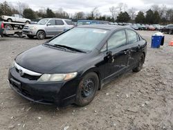 Honda Civic lx salvage cars for sale: 2010 Honda Civic LX