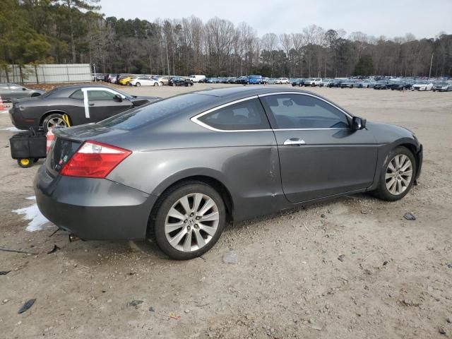 2009 Honda Accord EXL