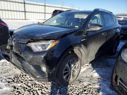 Toyota Vehiculos salvage en venta: 2018 Toyota Rav4 HV LE